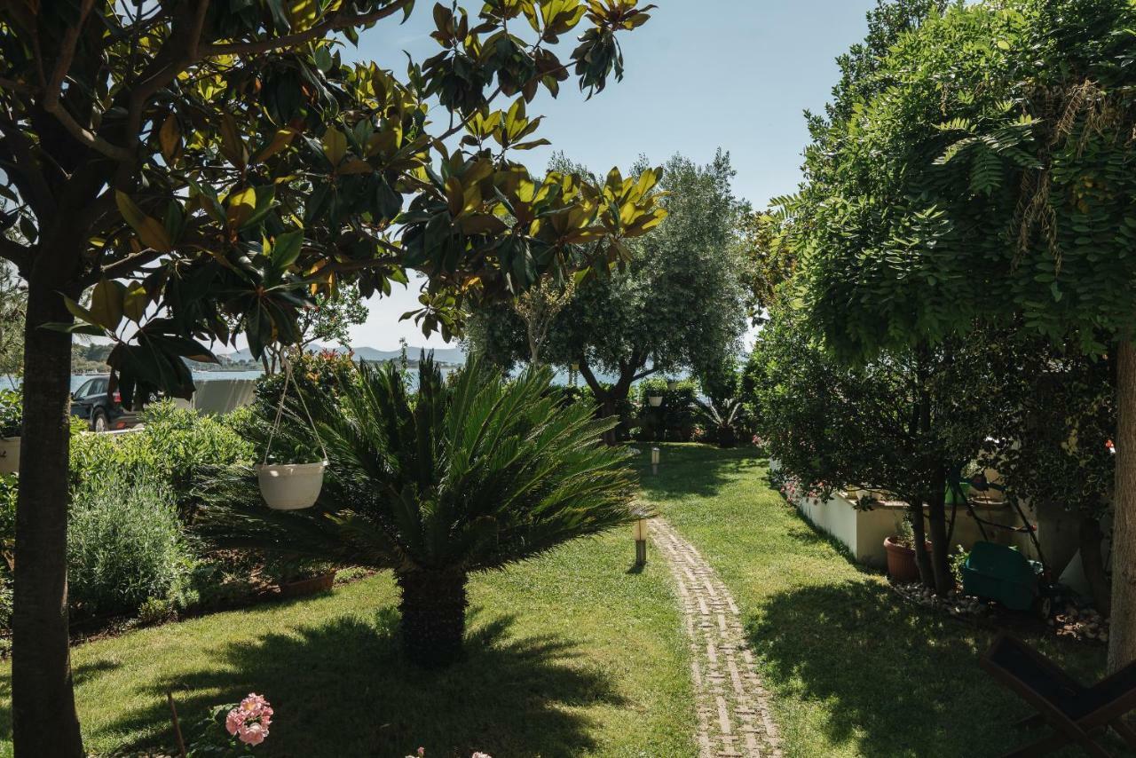 Lucija Apartment *